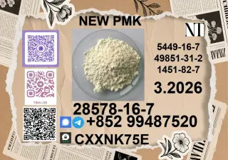 hot Sale P.MK ethyl glycidate CAS 28578-16-7 Good Effect