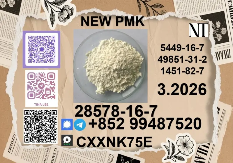 hot Sale P.MK ethyl glycidate CAS 28578-16-7 Good Effect