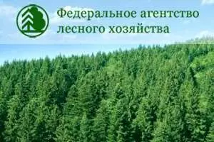 Рослесхоз выпустил справочник "Наилучшие доступные технологии и решения для производства топливных гранул и брикетов из древесной биомассы и отходов деревообработки".