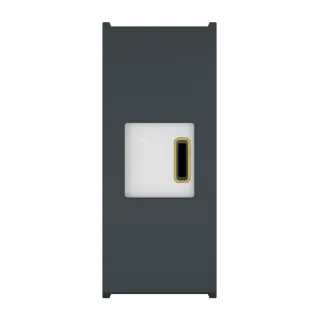 Механизм встраиваемой розетки USB тип C CADUCEUS ALING MODE для зарядки 1-го устройства