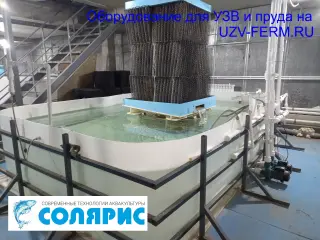 Узв на 1 тонну форели в год