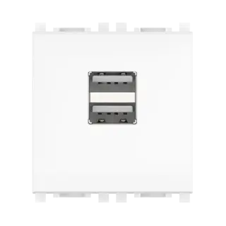 Розетка USB 2.0 тип А CADUCEUS ALING EXPERIENCE для скрытой проводки, для зарядки 2-х устройств