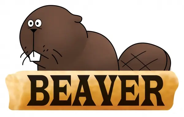 BEAVER KOREA