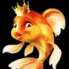 coralfish_spb