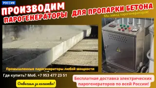 Пропарка жби