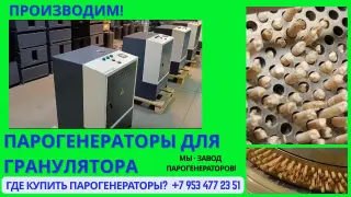 Парогенератор для гранулятора