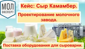 Воронеж Камамбер. Проектирование молочного завода. Поставка оборудования для сыроварни