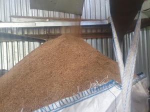 Линия гранулирования пивной дробины, спиртовой барды, свекловичного жома производительностью 2 т/час на базе сушильного комплекса АВМ 1,5