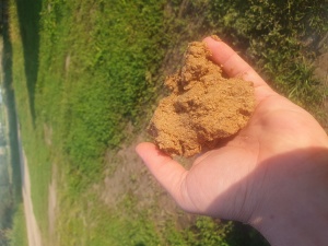 Линия гранулирования пивной дробины, спиртовой барды, свекловичного жома производительностью 2 т/час на базе сушильного комплекса АВМ 1,5