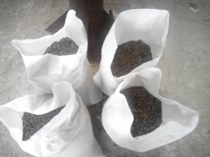 Линия гранулирования пивной дробины производительностью 1 т/час на базе сушильного комплекса АВМ 0,65 и пресс-гранулятора ОГМ-1,5