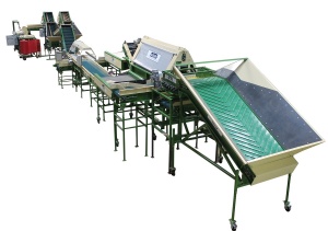 комплекс линии оборудования для предпродажной подготовки овощей, мойки, полировки, сухой очистки, сортировки, калибровки, фасовки овощей