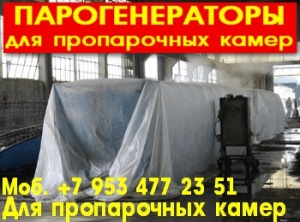 Парогенератор промышленный цена