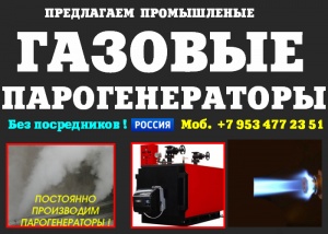 Парогенератор промышленный цена