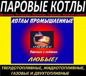 Парогенератор промышленный