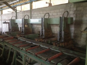 Лесопильные линии итальянского производства