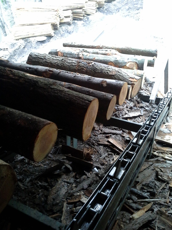 Лесопильные линии итальянского производства