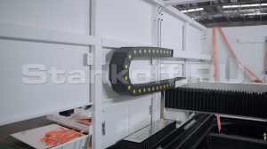 Оптоволоконный лазер для резки металла закрытого типа XTC-1530G/3000 Raycus