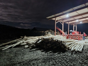 Окорочный станок ОС-600T «СИТЕК» для тонкомера