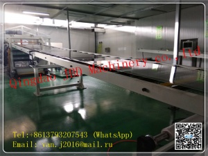 линия по производству листовой пластик ПММА