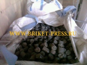 Пресс для производства топливных брикетов NESTRO