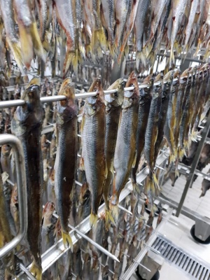 Камера сушки и вяления рыбы КФТЕХНО (Россия)