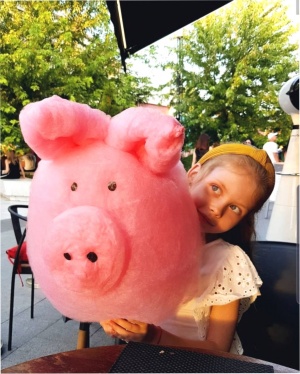 Аппарат для сахарной ваты CANDYMAN GAS (газовый) настольный