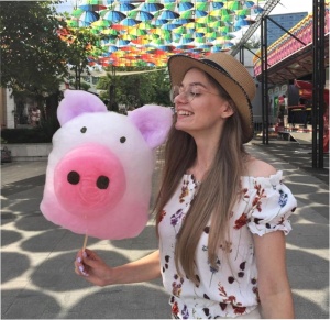 Аппарат для сахарной ваты CANDYMAN GAS (газовый) настольный