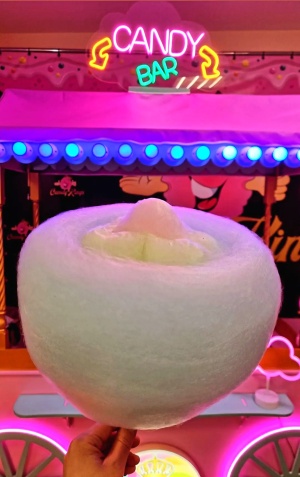 Аппарат для сладкой ваты CANDYMAN GAS PLUS (газовый)