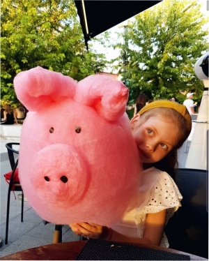 Аппарат для сахарной ваты CANDYMAN GAS (газовый) настольный