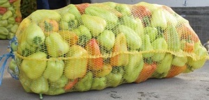 Мини линия мойки, сортировки, фасовки овощей в сетчатые мешки