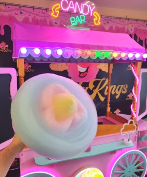 Аппарат для сахарной ваты CANDYMAN ELECTRO PLUS (электрический)