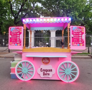 Аппарат для сахарной ваты CANDYMAN GAS PRO (газовый) - полная автономность