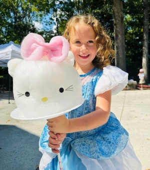 Аппарат для сахарной ваты CANDYMAN ELECTRO PLUS (электрический)