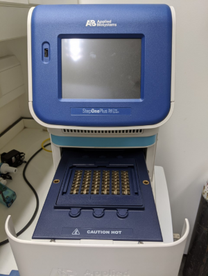Амплификатор StepOne Plus Real-Time (ПЦР система 96 лунок, 4 канала детекции)