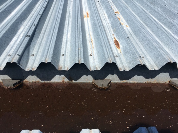 Профлист профнастил 65