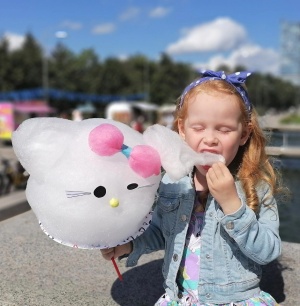 Аппарат для сахарной ваты CANDYMAN ELECTRO PRO (электрический)