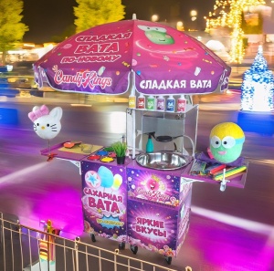 Аппарат для сахарной ваты CANDYMAN ELECTRO PRO (электрический)