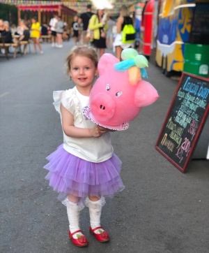 Аппарат для сахарной ваты CANDYMAN ELECTRO PRO (электрический)