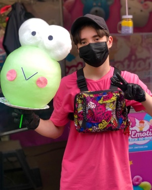 Аппарат для сахарной ваты CANDYMAN GAS PRO (газовый) - для уличной торговли