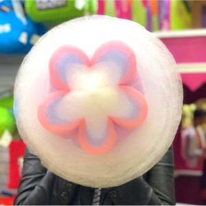 Аппарат для сахарной ваты CANDYMAN ELECTRO PRO (электрический)