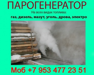 Парогенераторы для пропарочных камер