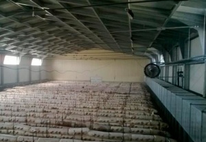 Парогенераторы для грибов