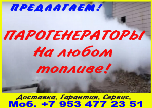 Парогенераторы для ЖБИ