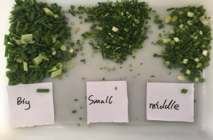 Промышленная овощерезка Vega Belt Cutter H Combo