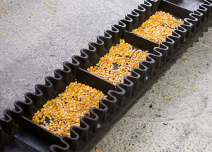 ТРАНСПОРТЕРНЫЕ И КОНВЕЙЕРНЫЕ ЛЕНТЫ ОТ ПРОИЗВОДИТЕЛЯ