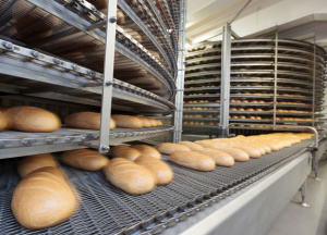 ТРАНСПОРТЕРНЫЕ И КОНВЕЙЕРНЫЕ ЛЕНТЫ ОТ ПРОИЗВОДИТЕЛЯ