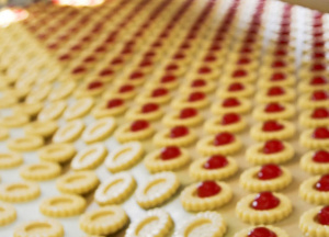 ТРАНСПОРТЕРНЫЕ И КОНВЕЙЕРНЫЕ ЛЕНТЫ ОТ ПРОИЗВОДИТЕЛЯ