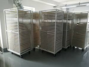 Сушилка для яблочных, тыквенных, свекольных и морковных чипсов