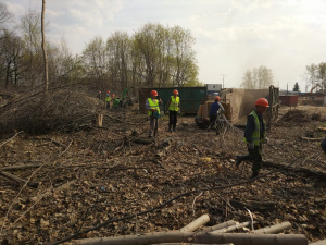 Аренда измельчителя древесины и веток