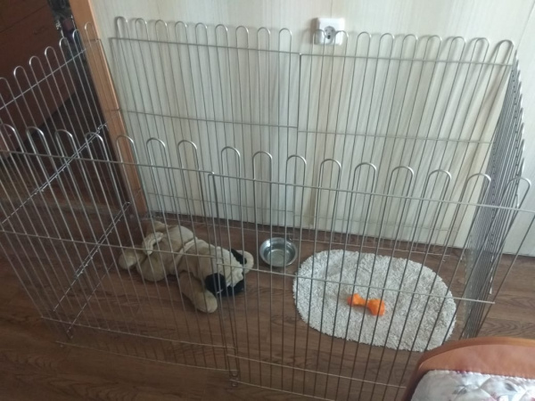 Вольеры для щенков в квартиру